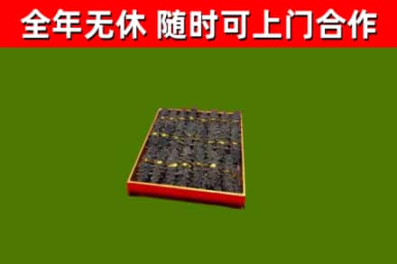 农安县回收海参